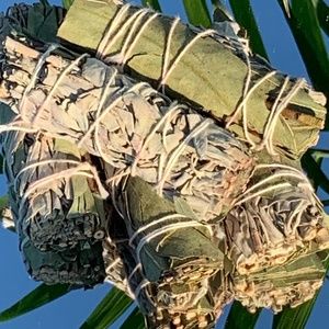 Eucalyptus & White Sage